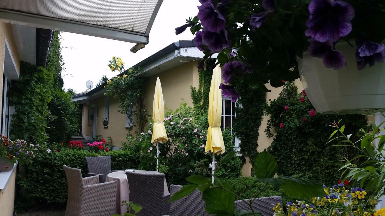 Haus Sandra Heringsdorf  Eksteriør billede